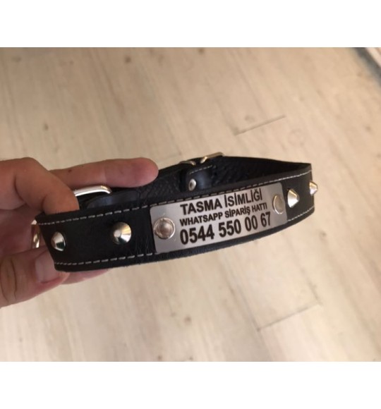 Tasi Kopek Kunyesi Kopek Kunyeleri Isimli Kopek Tasmalari Av Kopegi Kunyesi Kopek Isimlikleri Kopek Kunyesi Tasma Kunyesi Tasma Isimlikleri Isimli Tasma Kunyeli Tasma Isim Ve Numara Yazili Tasmalar Tasmaisimligi Com Da
